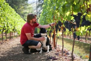 William Rose Wines Winemaker, dog, vineyard